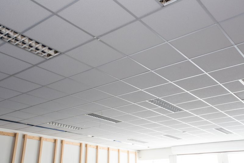 Acoustic Ceiling Replacement in Boulder, CO
